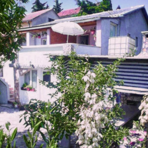 Gornji Karin